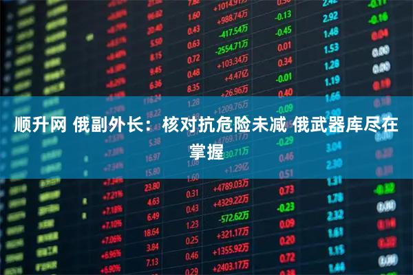 顺升网 俄副外长：核对抗危险未减 俄武器库尽在掌握