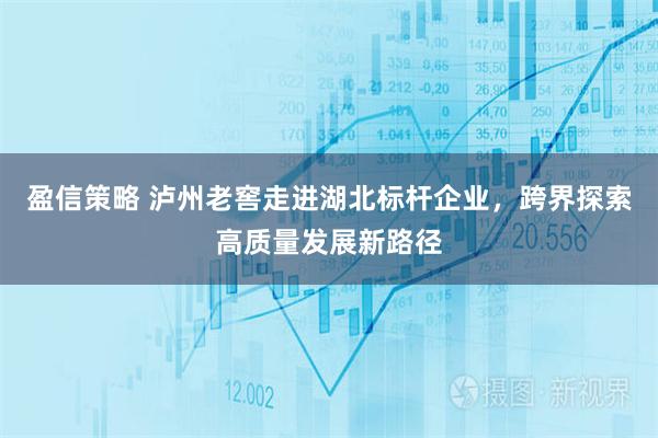 盈信策略 泸州老窖走进湖北标杆企业，跨界探索高质量发展新路径