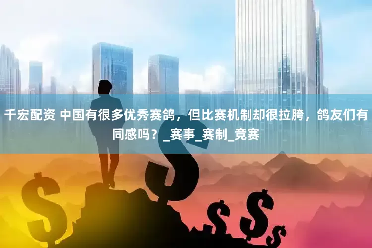 千宏配资 中国有很多优秀赛鸽，但比赛机制却很拉胯，鸽友们有同感吗？_赛事_赛制_竞赛